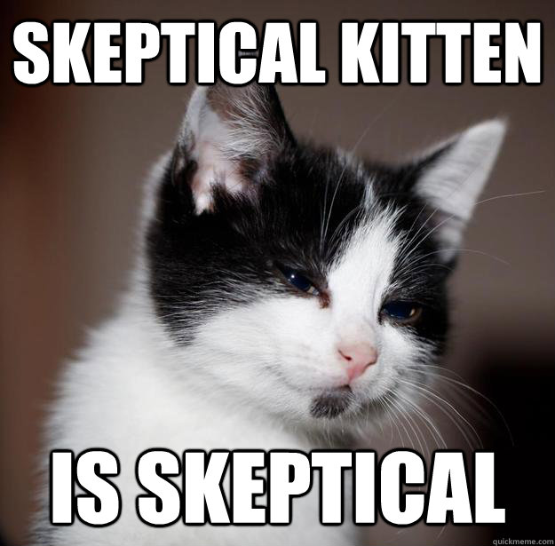 Skeptical Kitten is skeptical - Skeptical Kitten is skeptical  skeptikitten