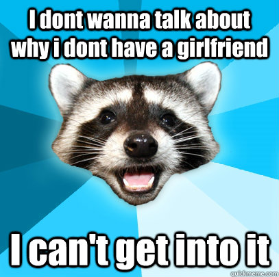 I dont wanna talk about why i dont have a girlfriend I can't get into it  Lame Pun Coon