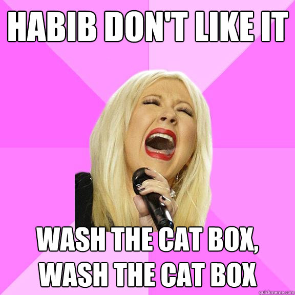 Habib don't like it wash the cat box, wash the cat box  Wrong Lyrics Christina