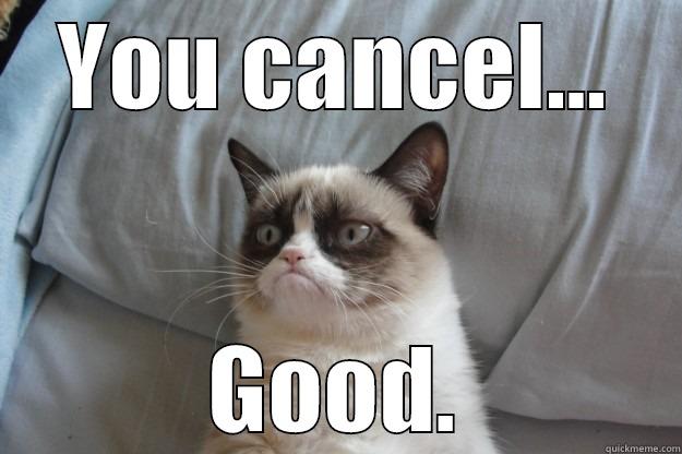 Cancel meeting - YOU CANCEL... GOOD. Grumpy Cat