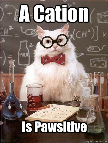 A Cation Is Pawsitive  Chemistry Cat