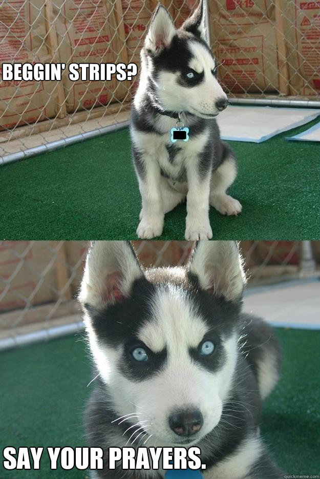 BEGGIN' STRIPs? say your prayers.  Insanity puppy