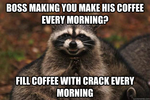 boss making you make his coffee every morning? fill coffee with crack every morning  Evil Plotting Raccoon