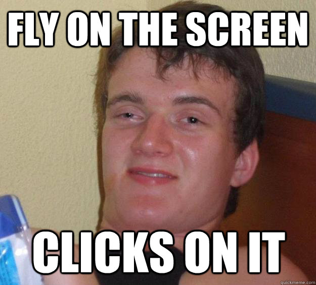 fly on the screen clicks on it - fly on the screen clicks on it  10 Guy