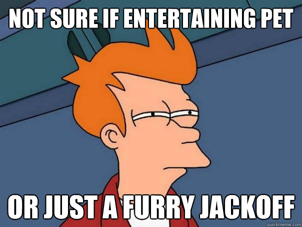 Not sure if entertaining pet or just a furry jackoff  Futurama Fry