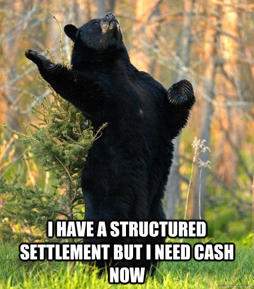  I have a structured settlement but I need cash now -  I have a structured settlement but I need cash now  opera bear