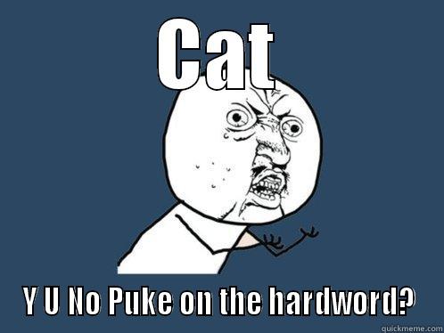 CAT Y U NO PUKE ON THE HARDWORD? Y U No