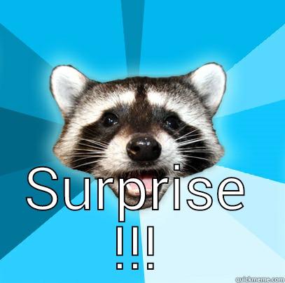  SURPRISE !!! Lame Pun Coon