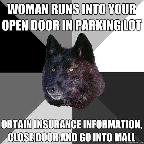 woman runs into your open door in parking lot obtain insurance information, close door and go into mall  Sanity Wolf