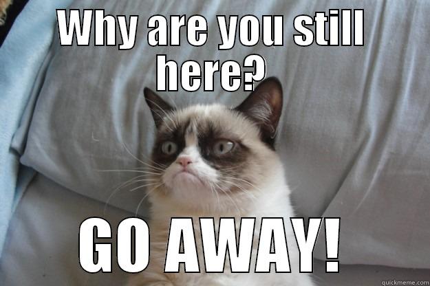 Why are you here? - WHY ARE YOU STILL HERE? GO AWAY! Grumpy Cat