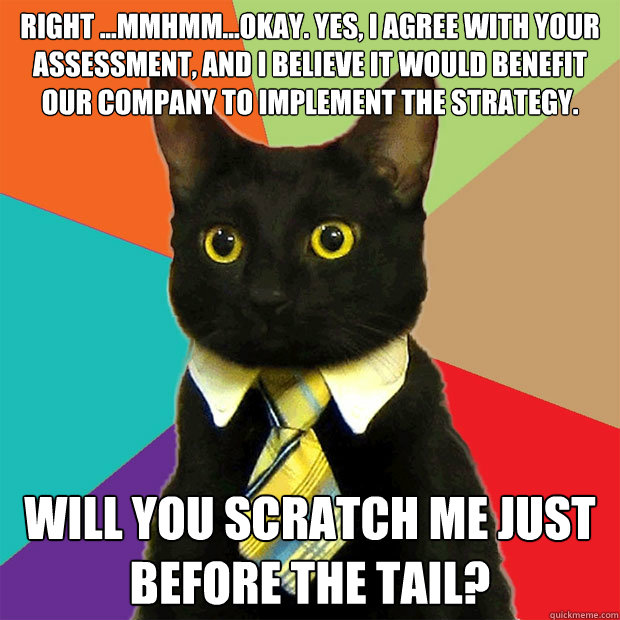 Right ...mmhmm...okay. Yes, I agree with your assessment, and I believe it would benefit our company to implement the strategy. Will you scratch me just before the tail?  Business Cat