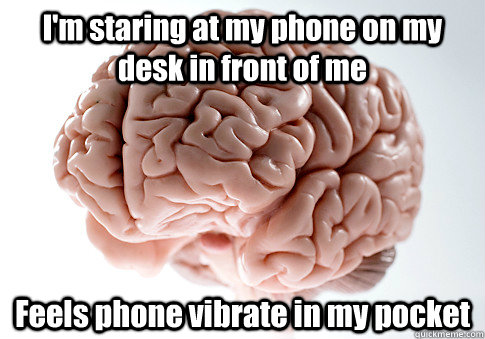 I'm staring at my phone on my desk in front of me Feels phone vibrate in my pocket  Scumbag Brain