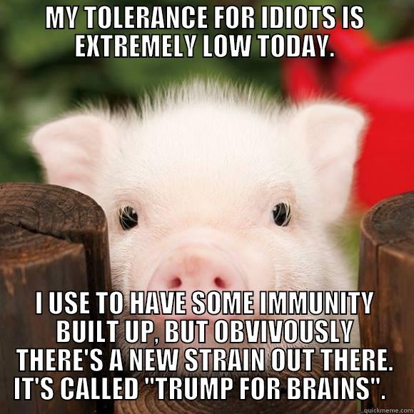 OINK OINK - MY TOLERANCE FOR IDIOTS IS EXTREMELY LOW TODAY. I USE TO HAVE SOME IMMUNITY BUILT UP, BUT OBVIVOUSLY THERE'S A NEW STRAIN OUT THERE. IT'S CALLED 