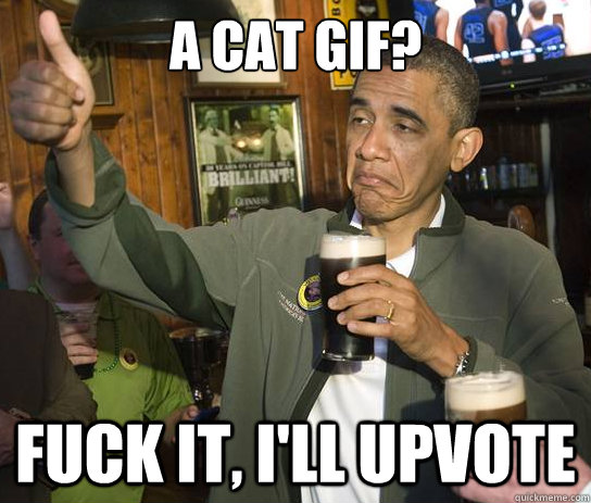 A cat gif? Fuck it, i'll upvote  Upvoting Obama