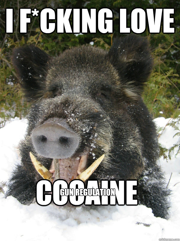 I F*CKING LOVE COCAINE GUN REGULATION - I F*CKING LOVE COCAINE GUN REGULATION  2CND AMENDMENT PIG