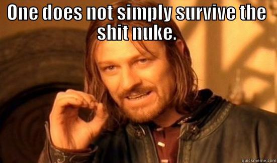 ONE DOES NOT SIMPLY SURVIVE THE SHIT NUKE.  Boromir