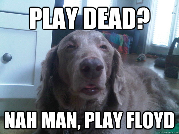 PLAY DEAD? nah man, play floyd  