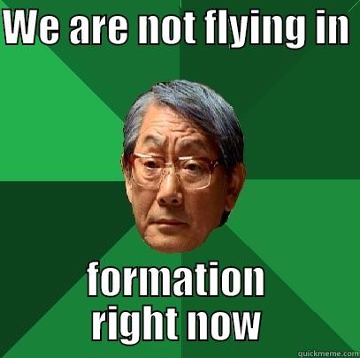 WE ARE NOT FLYING IN  FORMATION RIGHT NOW High Expectations Asian Father