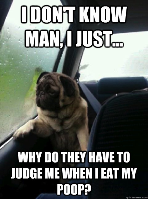 I don't know man, I just... why do they have to judge me when i eat my poop? - I don't know man, I just... why do they have to judge me when i eat my poop?  Introspective Pug