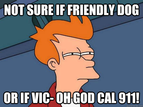 Not sure if friendly dog Or if vic- oh god cal 911!  Futurama Fry