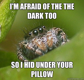 i'm afraid of the the dark too so i hid under your pillow  Misunderstood Spider