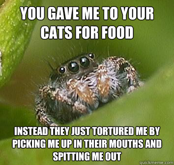 You gave me to your cats for food Instead they just tortured me by picking me up in their mouths and spitting me out  Misunderstood Spider