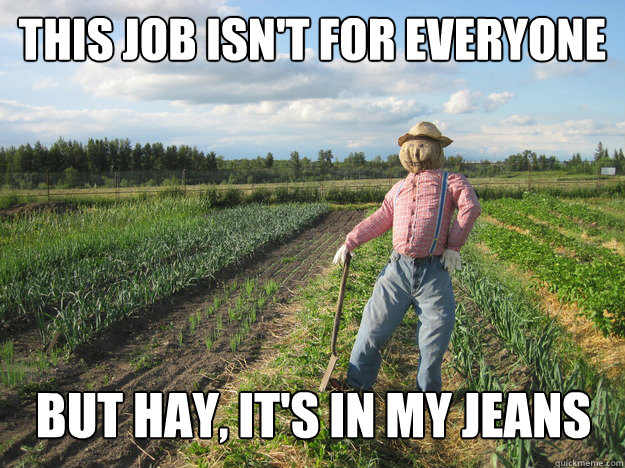 This job isn't for everyone But Hay, it's in my jeans  Scarecrow