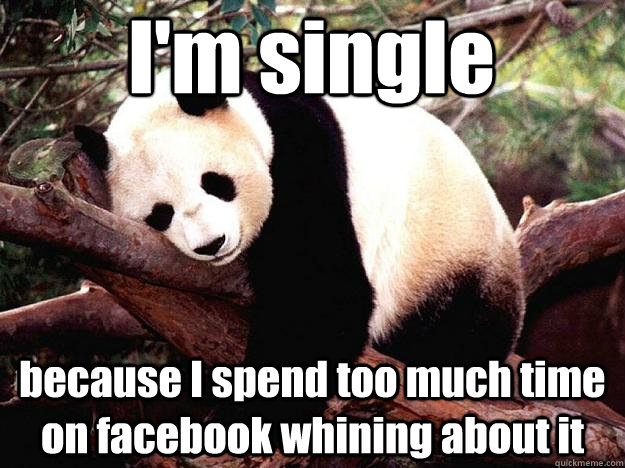 I'm single because I spend too much time on facebook whining about it    Procrastination Panda