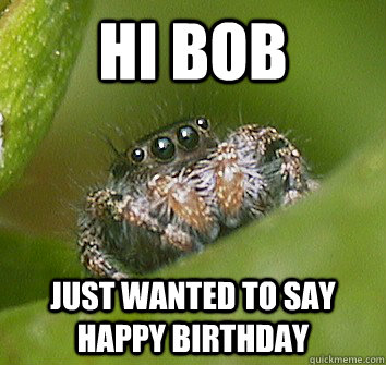 Hi Bob just wanted to say happy birthday   Misunderstood Spider