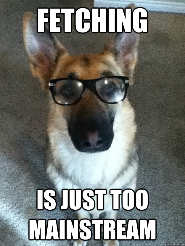 Fetching is just too mainstream  Hipster Dog