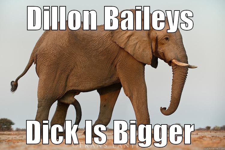 DILLON BAILEYS DICK IS BIGGER Misc