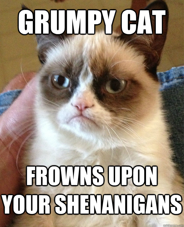 grumpy cat frowns upon your shenanigans  Grumpy Cat