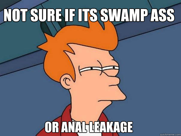 Not Sure if Its Swamp Ass Or Anal Leakage  Futurama Fry