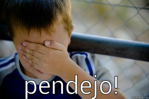 pendejo pendejo -  PENDEJO! Confession kid