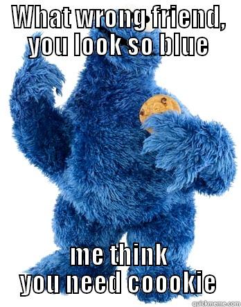 WHAT WRONG FRIEND, YOU LOOK SO BLUE ME THINK YOU NEED COOOKIE Misc