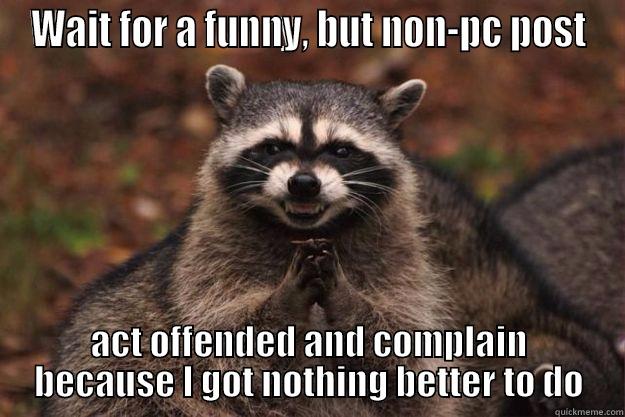 WAIT FOR A FUNNY, BUT NON-PC POST ACT OFFENDED AND COMPLAIN BECAUSE I GOT NOTHING BETTER TO DO Evil Plotting Raccoon