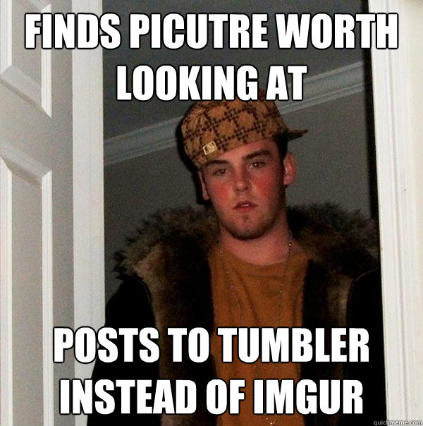 Finds Picutre Worth Looking At Posts to tumbler instead of imgur  Scumbag Steve