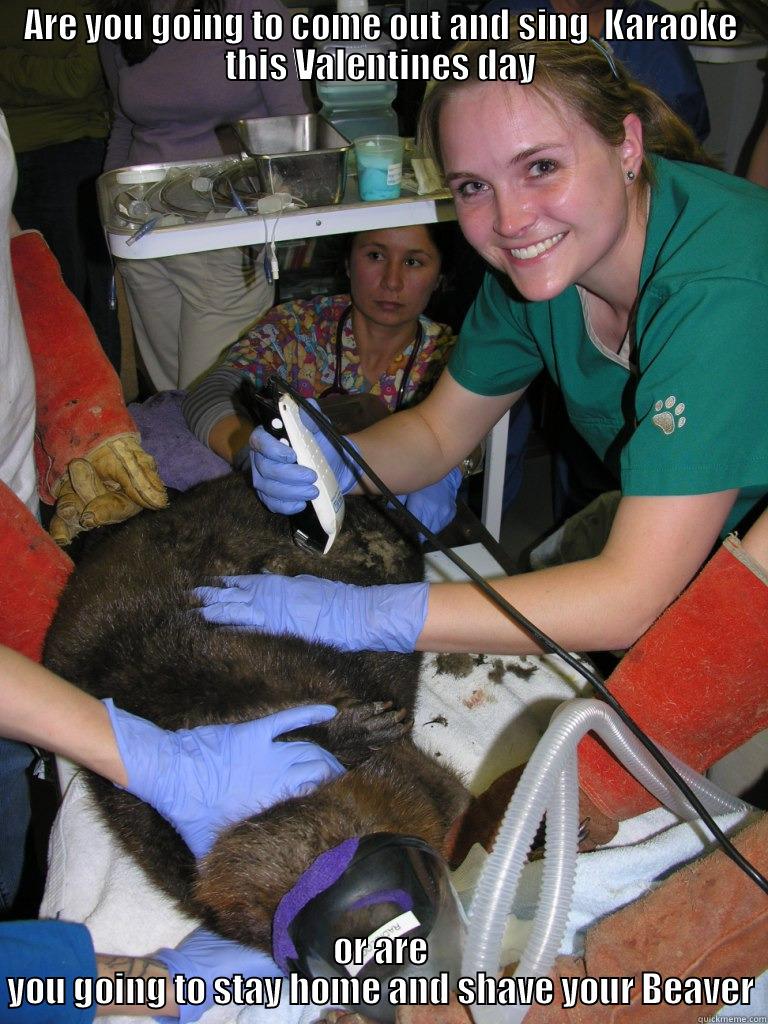 ARE YOU GOING TO COME OUT AND SING  KARAOKE THIS VALENTINES DAY OR ARE YOU GOING TO STAY HOME AND SHAVE YOUR BEAVER Misc