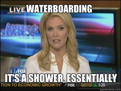 WATERBOARDING IT'S A SHOWER, ESSENTIALLY  Megyn Kelly