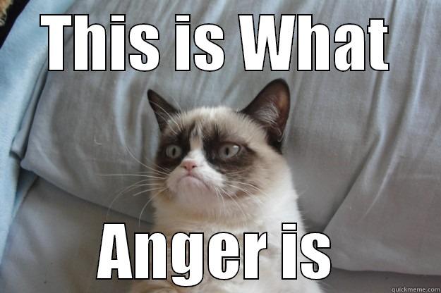 THIS IS WHAT ANGER IS Grumpy Cat
