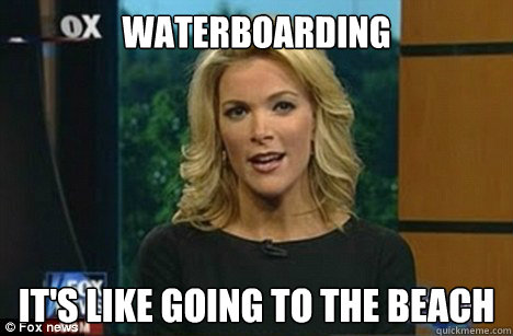 Waterboarding It's like going to the beach  Megyn Kelly