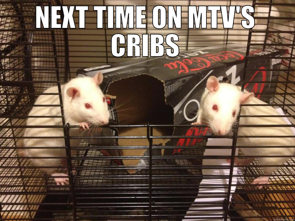 NEXT TIME ON MTV'S CRIBS  Misc