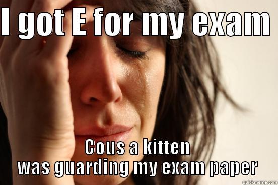 I GOT E FOR MY EXAM  COUS A KITTEN WAS GUARDING MY EXAM PAPER First World Problems