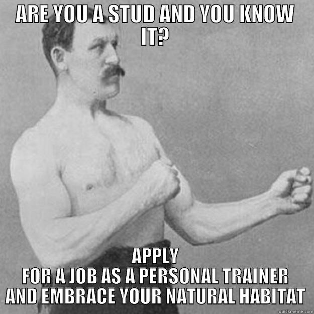 ARE YOU A STUD AND YOU KNOW IT? APPLY FOR A JOB AS A PERSONAL TRAINER AND EMBRACE YOUR NATURAL HABITAT overly manly man