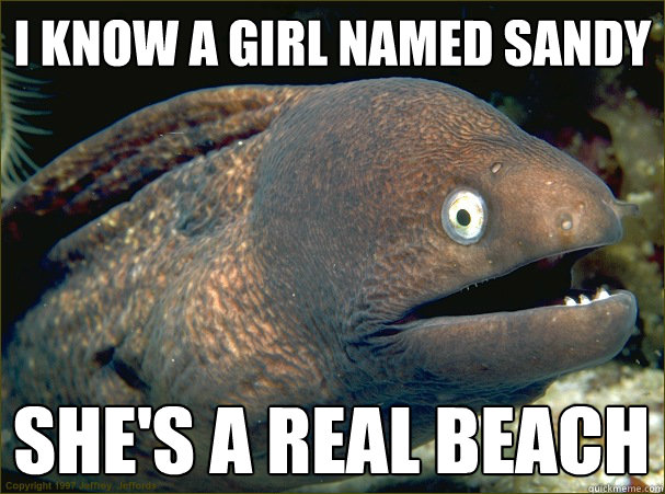 I know a girl named sandy She's a real beach   Bad Joke Eel