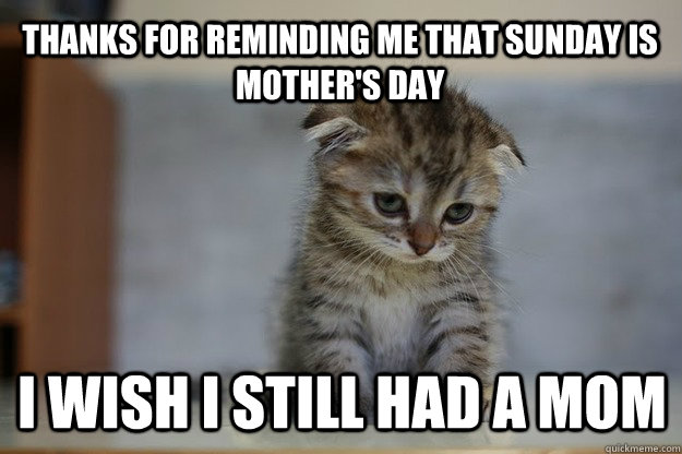 thanks for reminding me that sunday is mother's day i wish i still had a mom  