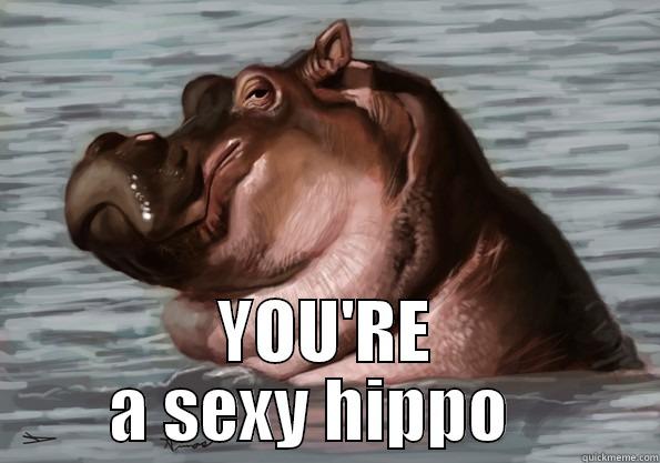 sexy hipo -  YOU'RE A SEXY HIPPO   Misc