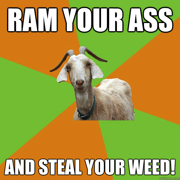 Ram your ass and steal your weed!  IB Goat