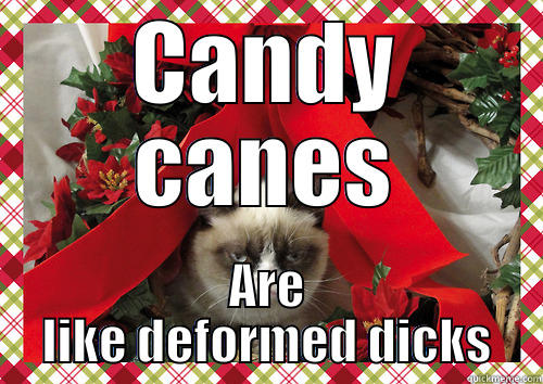 CANDY CANES ARE LIKE DEFORMED DICKS merry christmas