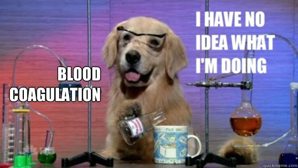 Blood Coagulation  - Blood Coagulation   science dog